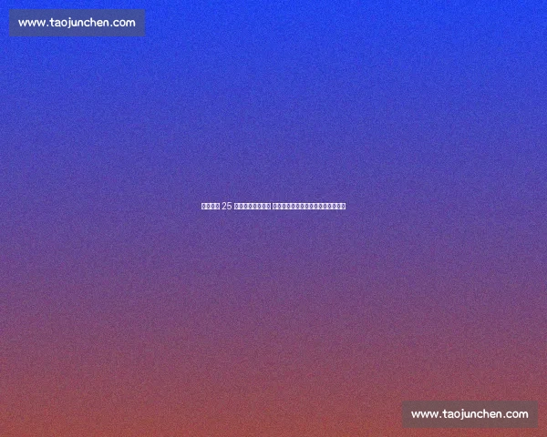 曼联盯上 25 岁尼斯中场布达维 阿尔及利亚铁腰成阿莫林引援新目标