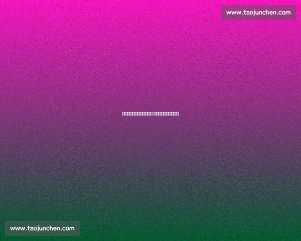 栩栩多多战队外籍选手发力 黄金赛场越野赛展锋芒